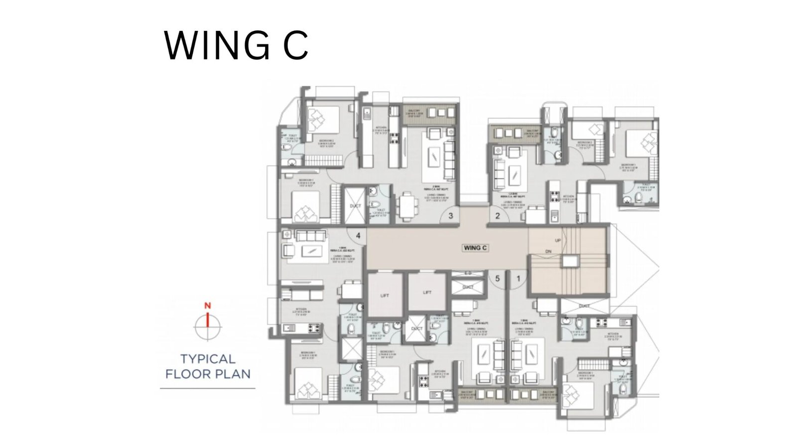Vighnaharta-Infinity-C Wing-Typical-Floor-Plan